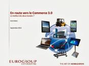 Vers commerce Livre blanc Eurogroup Consulting