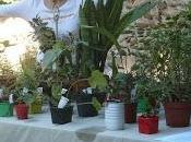 Troc Chateauneuf Gadagne octobre