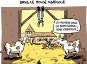 Suicides dans monde agricole