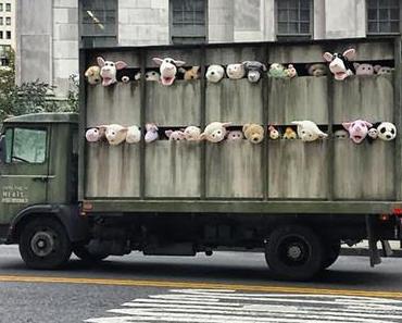 Une bétaillère remplie de peluches signée BANKSY