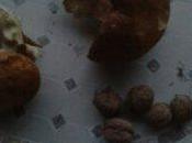 Week-end dans Gers gourmandises automnales millasson