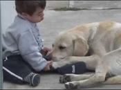 God's Truffle, World