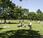 Kensington gardens Hyde park