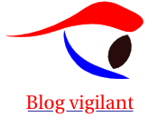 Sarkozy, vigilance blogosphère