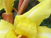 Revue presse semaine