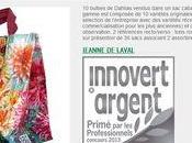 sacs bulbes Jeanne laval sont vente