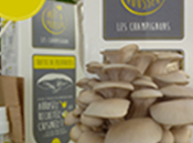 champignons poussent maison, concept ludique pour petits grands produit durable recycle marc café