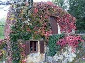 Courte Toussaint Lot-et-Garonne