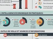 Infographie entreprises bretonnes veille [édition 2013]