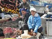 Algérie-Encourager création pour booster secteur pêche (expert)