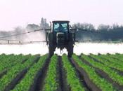 Effets pesticides santé militantisme guise d’information