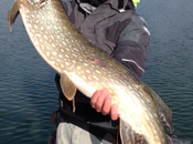 Mouching news bord l’eau