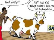 Souveraineté alimentaire, subterfuge électoraliste