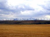 Canada Ikea investit dans l’énergie éolienne