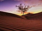 timelapse couper souffle