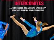 Coupes Nationales 2013 Vendespace avec gymnastes l’AGM