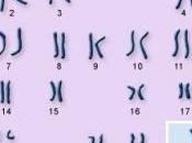 INFERTILITÉ: A-t-on vraiment besoin chromosome Science Express
