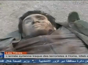 VIDEO. Journal Syrie novembre 2013. saignée terroriste poursuit