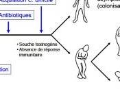 MICROBIOTE FÉCAL: transplanter pour lutter contre difficile PLoS