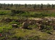 suis solidaire maire Marinaleda