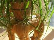 vous invite visiter revue presse semaine...