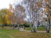 Argenteuil, parc champioux Automne