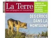 Laurent Garde: loup faire disparaitre l'élevage local