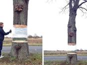 street artist fait flotter arbre