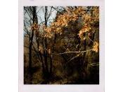 paysan assassin... Chronique province