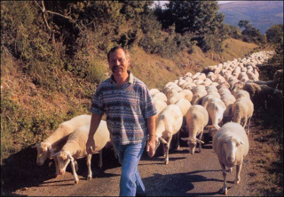 José Mauvé