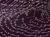 lointain devenu notre prochain