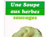 SOUPE HERBES SAUVAGES (Emilie CARLES)