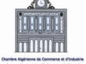 Mise place mars prochaine d’une section Chambre algérienne commerce d’industrie France (DG)