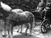 SAVIEZ VOUS L’origine souhaiter bonne merde