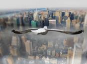 Regarder monde depuis point d’oiseaux