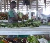 Les africains ne seraient-ils pas faits pour l’entrepreneuriat ?