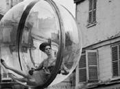 Bulle Melvin Sokolsky