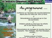 Tous carhaix, bretagne