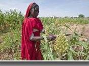 Soudan CICR espoir reprendre plus vite activités