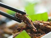 INSECTES bientôt plus nombreux dans ASSIETTES Santé publique