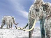 disparition fleurs l’origine l’extinction mammifères Arctiques l’âge glace