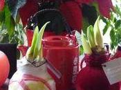 Test Amaryllis sans pendant jours maison