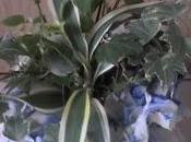 Vous avez aimé récup parapluie