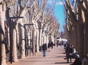 Narbonne, samedi février Barques