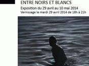 Galerie Crous Paris exposition BRYAN "Entre noirs blancs"