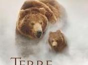 Terre Ours