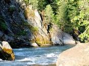 Wyoming: snake yellowstone