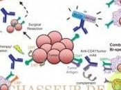 corps humain conception d’un miracle