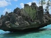 Voyage l’île Maurice Episode Excursion bateau Bénitiers