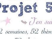 Projet 2014 Paternel